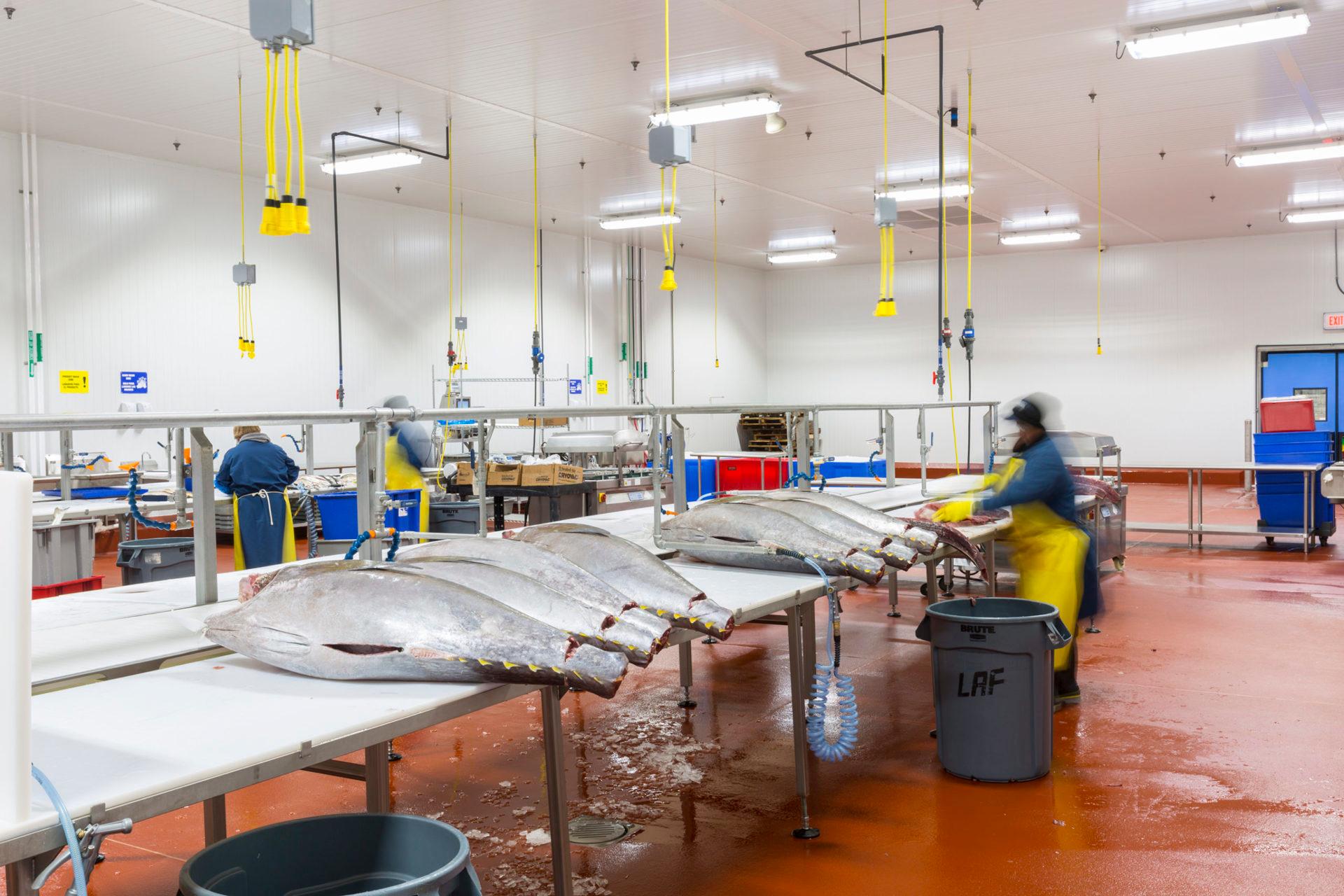 Buckhead Meat & Seafood Processing of Houston
